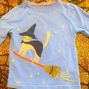Witch Cat on broom
